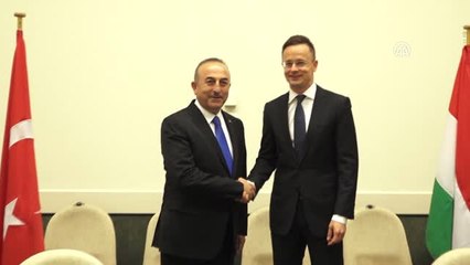 Dışişleri Bakanı Çavuşoğlu, Macar Mevkidaşıyla ile Görüştü