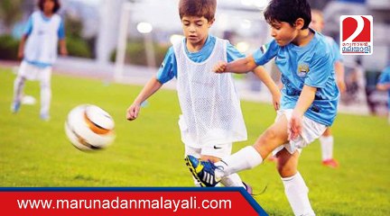 Expats can represent UAE in sports teams