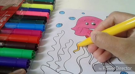 JELLY FISH COLORING VIDEO FOR CHILDREN LEARNING