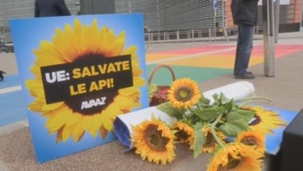 Organizaciones ecologistas celebran la restricción de pesticidas en la UE