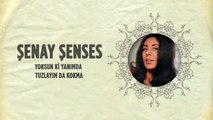 Şenay Şenses - Yoksun ki Yanımda / Tuzlayım da Kokma (45'lik)