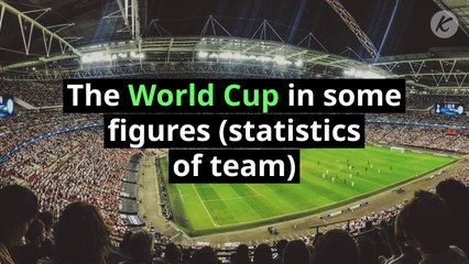 The World Cup in some figures (statistics of team)