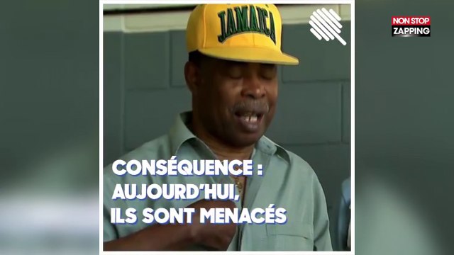 Angleterre : Menacés d’expulsion, des milliers d’immigrés caribéens doivent prouver qu’ils sont anglais (Vidéo)