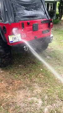 Laver sa voiture quand tu as un chien