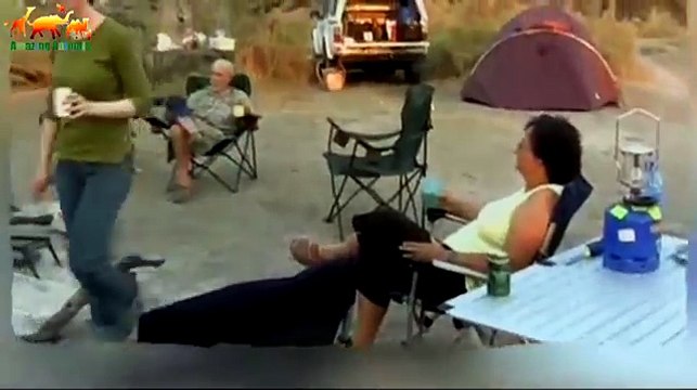 На волосок от смерти. Слон напал на туристов и разгромил лагерь / Уникальные кадры