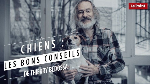Thierry Bedossa : le chien et la marche en laisse