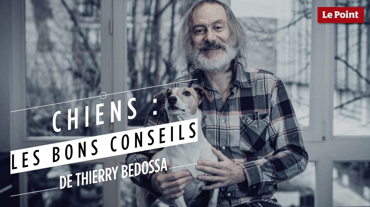 Thierry Bedossa : le chien et la marche en laisse