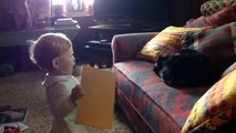 Babies and Cat are Best Friend   Babies and Cats Playing Together Part 1