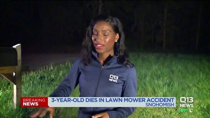 3-Year-Old Dies After Being Run Over by Lawnmower