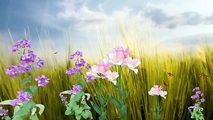 Большая стирка. Алгоритм моей стирки, стираем легко и на автомате.