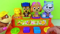 PATRULHA CANINA BRINQUEDO POP-UPS COM SUPRESAS - Nickelodeon Paw Patrol Pop-Up Surprise Toy