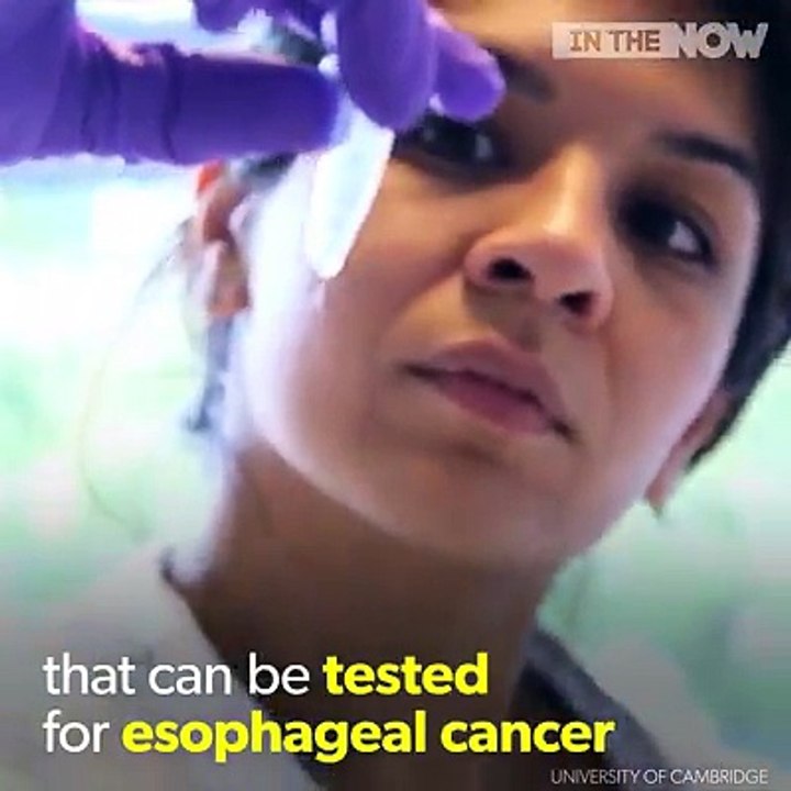 Tiny capsule Stop cancer|Tiny hotel capsule|