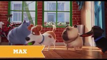 The Secret Life Of Pets REAL LIFE All Charers