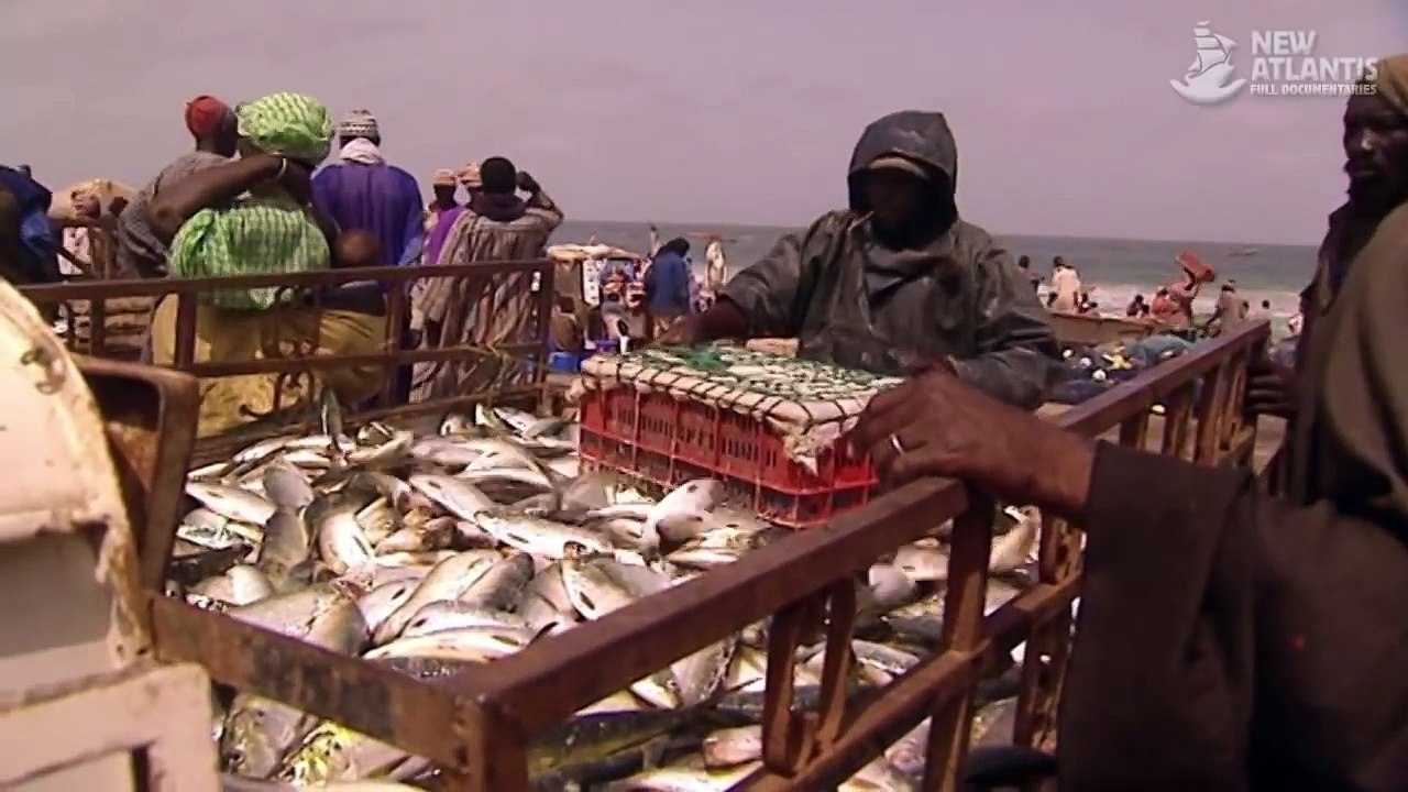 Mauritania: Men of the Sea (part 4/5)