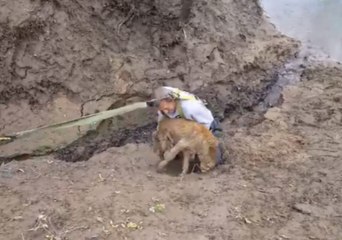 Dog Rescued After Becoming Stuck for Days on Kentucky River Bank