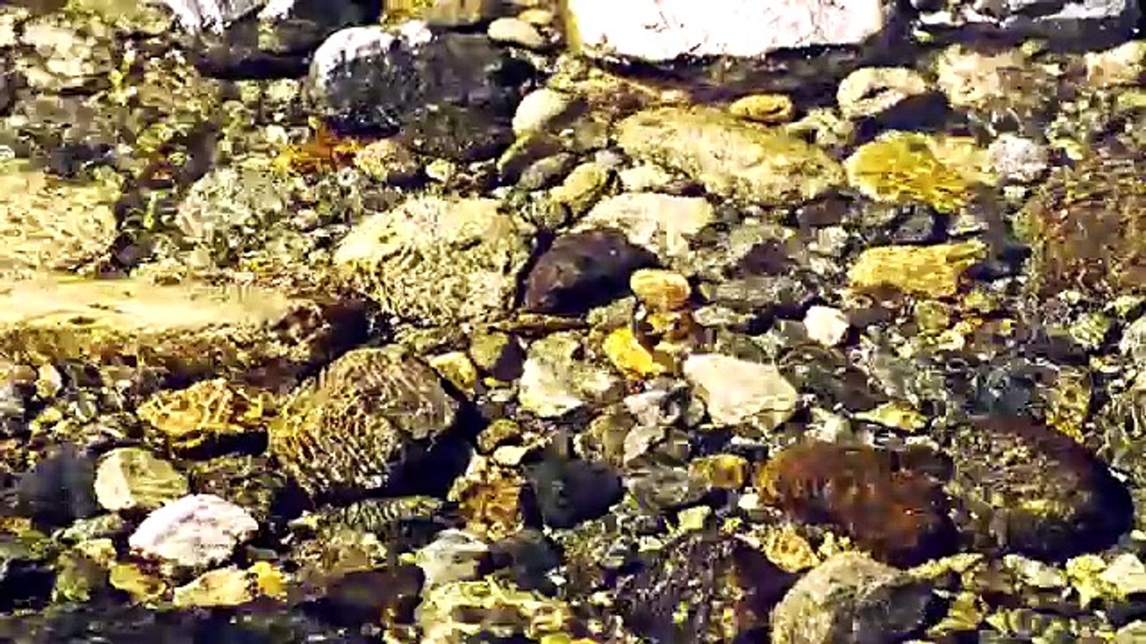 4K (Ultra HD) Waterfalls Scenery with Nature Sounds - Water & Forest - Video Trailer 1