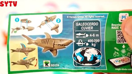 Kinder Sürpriz Yumurta Kinder Surprise JOY #SYTV KIZ ve ERKEK Oyuncaklı Sürpriz Yumurtaları