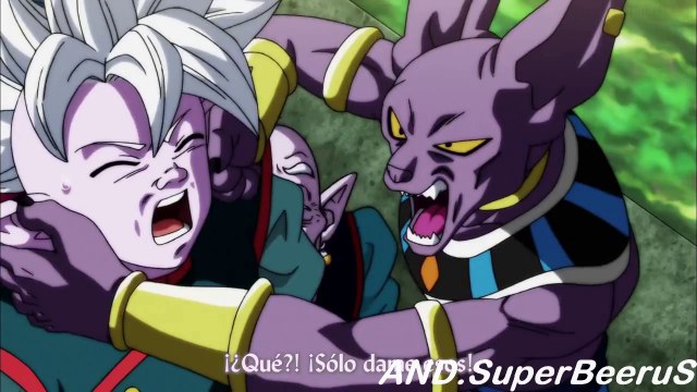 Beerus Vs Shin Dragon Ball Super