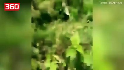 Helikopteri i emergjencës i pret kokë një personi gjatë operacionit të shpëtimit (360video)