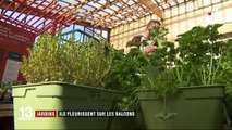 Jardins : les petits potagers fleurissent sur les balcons