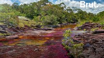 Caño Cristales, la 