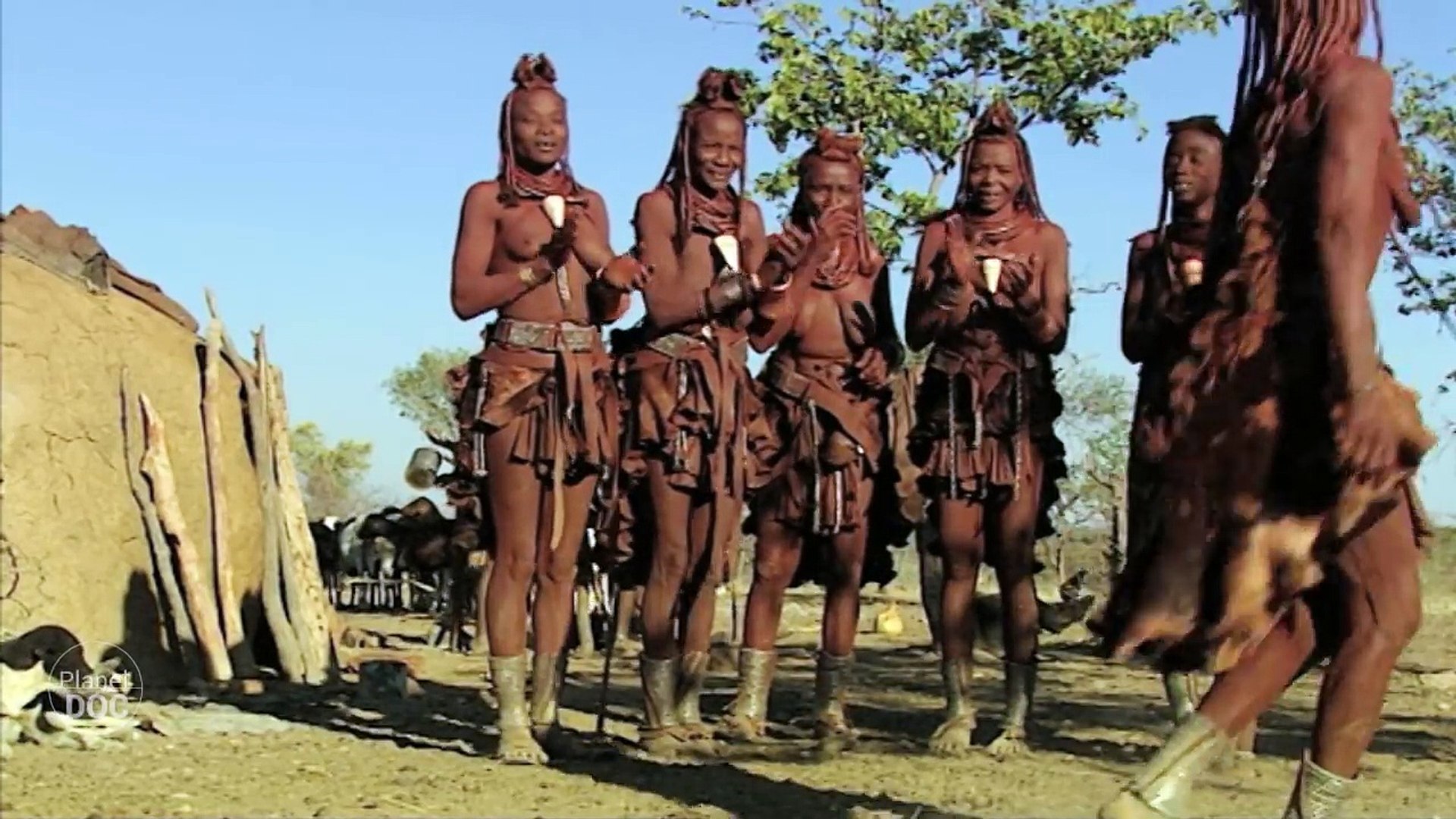 ⁣Relationship & Animal Mating | Nomadic Tribes - Documentary