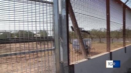 Gasdotto multinazionale in Puglia, sequestrato un cantiere TAP