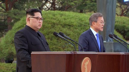 한반도 평화선언..."공동목표는 완전한 비핵화" / YTN