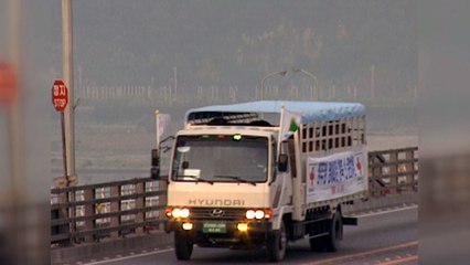 다시 찾은 '소떼 길'...'감격' 속 남북경협 기대 고조 / YTN