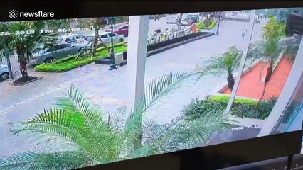 Moped thieves steal dog, dragging owner along road