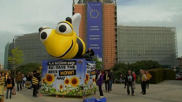 Евросоюз спасает пчел