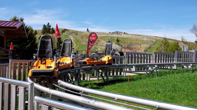 Luge d'été au Markstein : attention, ça glisse !