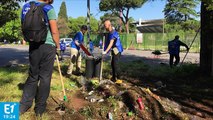 Notre Europe : quand les Romains se chargent du nettoyage de leur ville