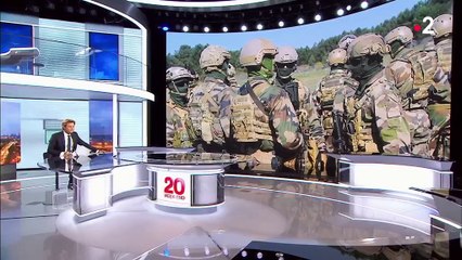 Conseils, renseignements... Que font les forces spéciales françaises en Syrie ?