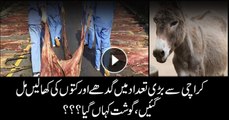 Huge quantity of Donkey hides recovered in Karachi