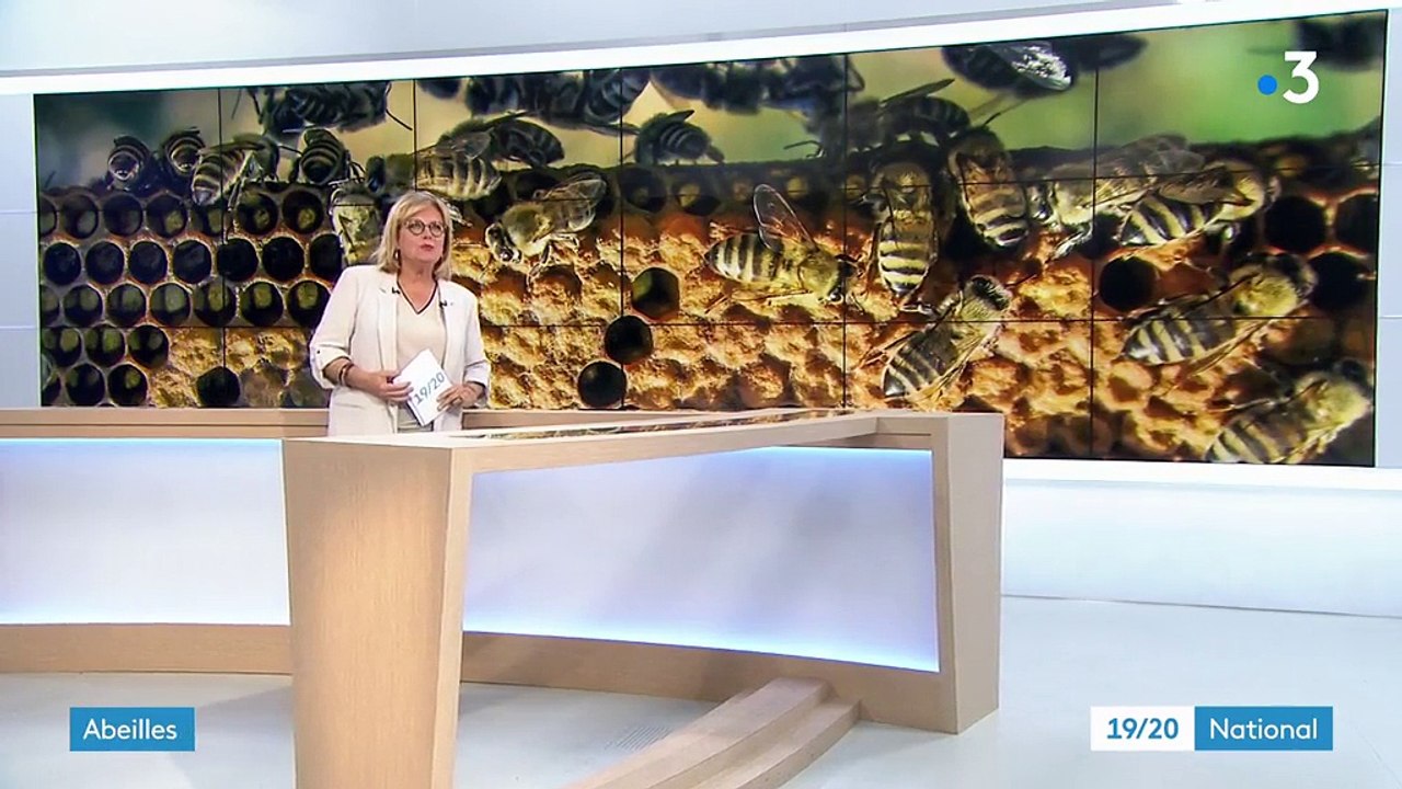 Abeilles : l'Europe interdit trois pesticides