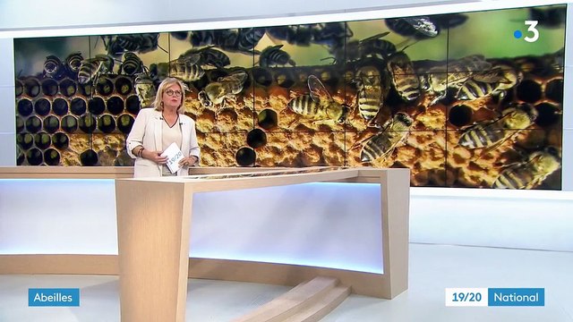 Abeilles : l'Europe interdit trois pesticides