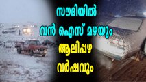 ആലിപ്പഴ വീഴച്ചയിൽ സൗദിയിലെ  അൽ ഖാസിം | Oneindia Malayalam