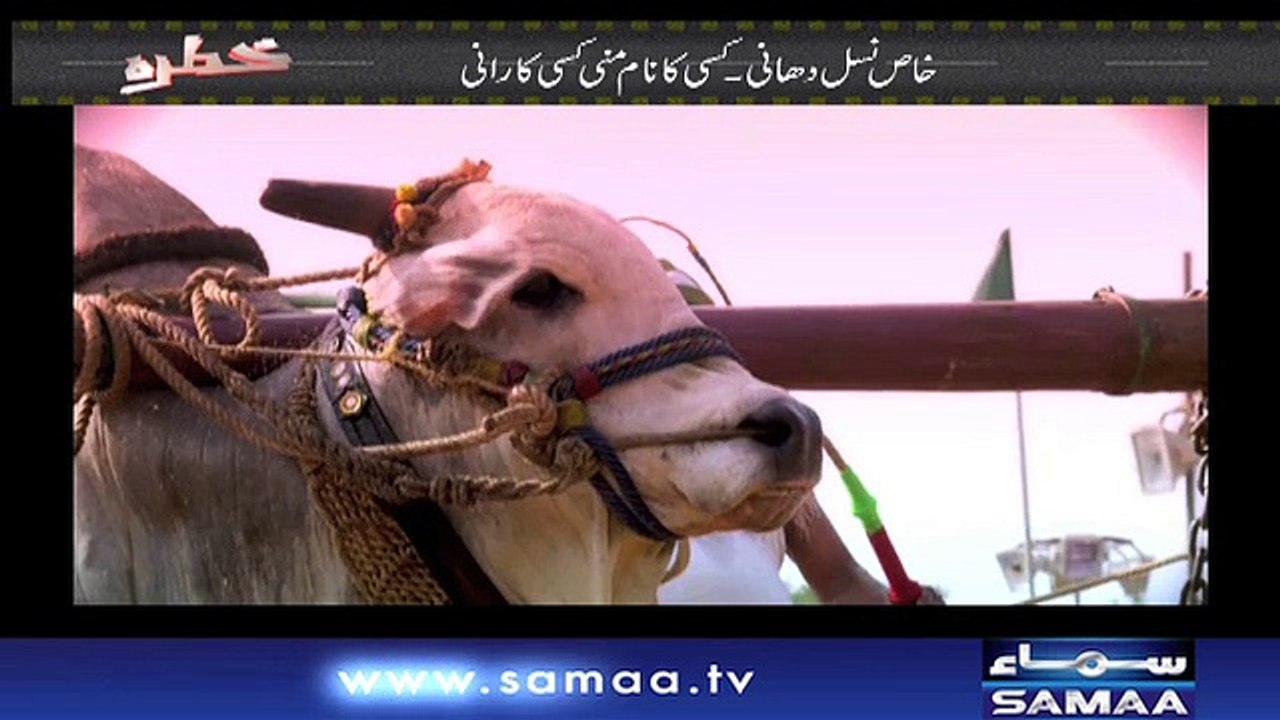 Khatra | SAMAA TV | 27 April 2018