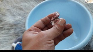 كيفية تنظيف الفضه