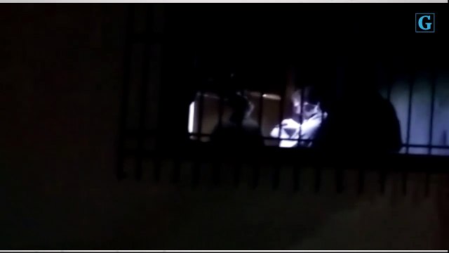 Perícia com luminol em Linhares