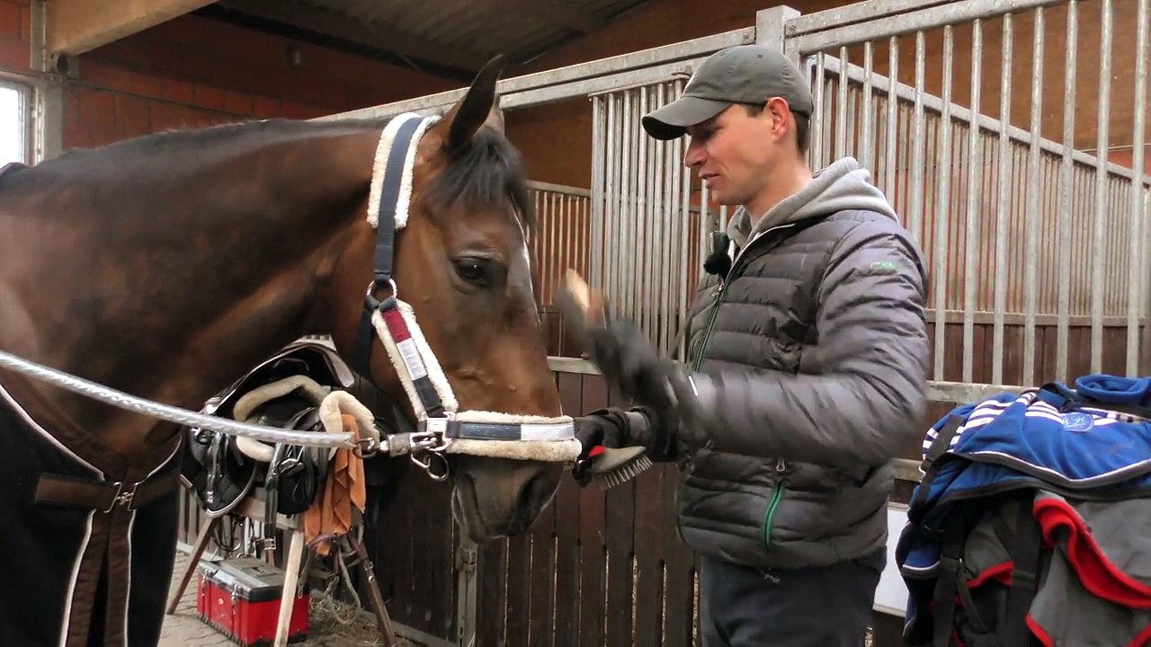 Im Reitstall mit Jordi Sander