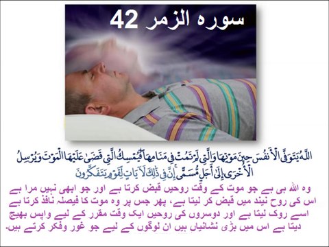 Class 3 English Lesson 26, Verb sleep in Urdu