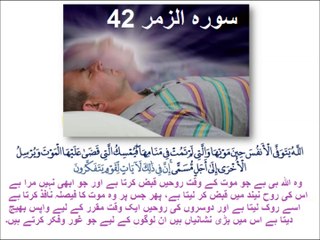 Class 3 English Lesson  26, Verb sleep in Urdu