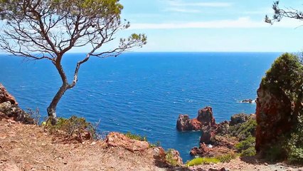 A vendre - Appartement - LA VALETTE DU VAR (83160) - 4 pièces - 72m²