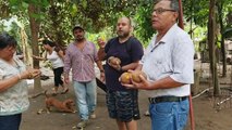 DESDE QUE SE FUE A LOS USA| 50 AÑOS SIN PROBAR SUNZA| La fruta fresca de guate