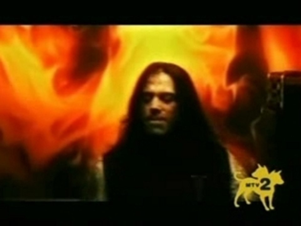 Shadows Fall - In Effigy