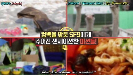 [INDO SUB] SF9 - 시크릿코드9 (secret code 9) EP 01