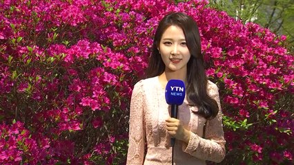 [날씨] 주말 완연한 봄...서쪽 미세먼지 주의 / YTN