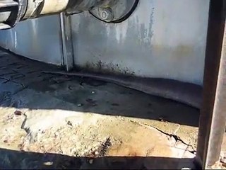 big snake pithon Angola - Porto Amboim